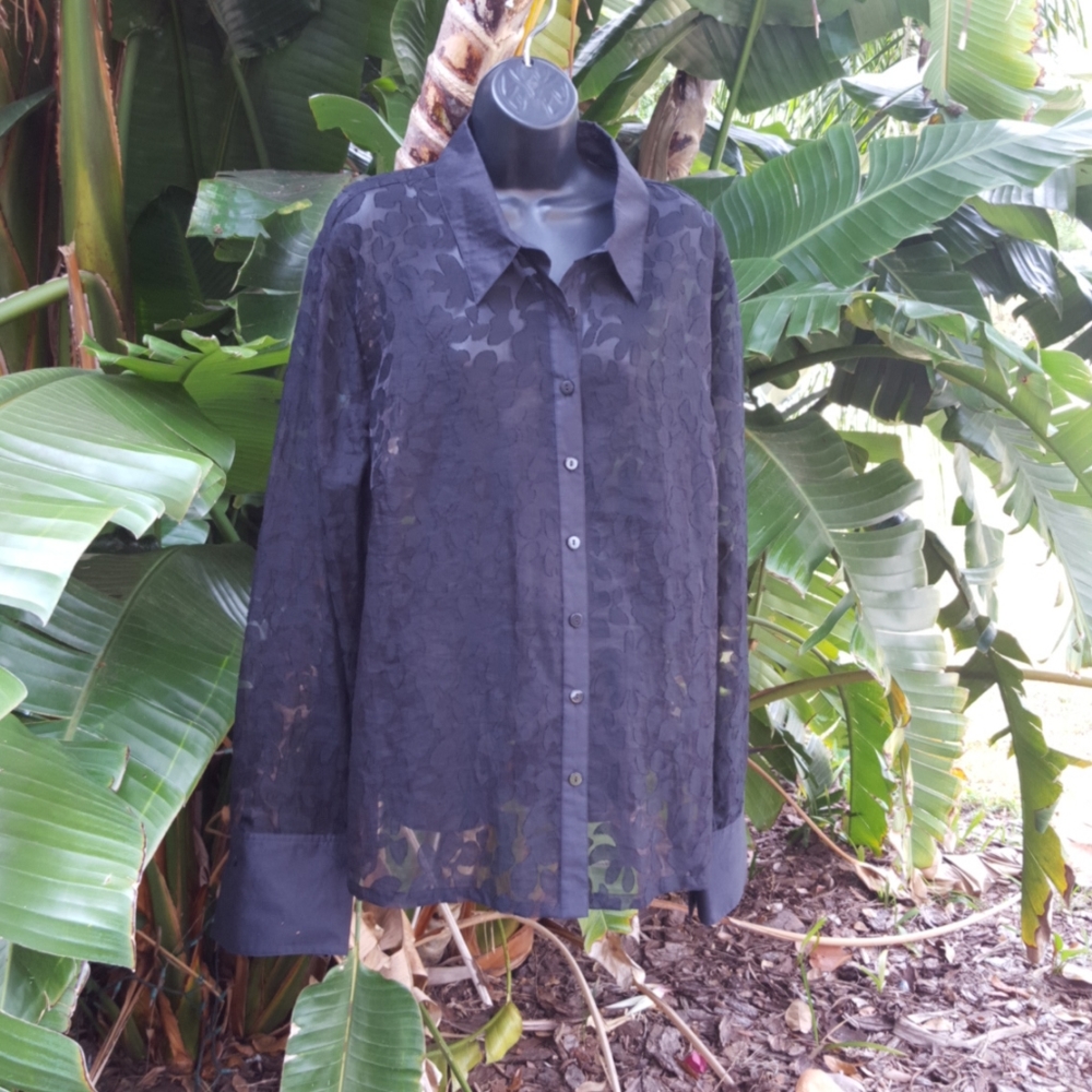 COPY - Silkland sheer blouse